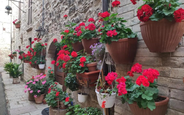Appartamento Antica Assisi