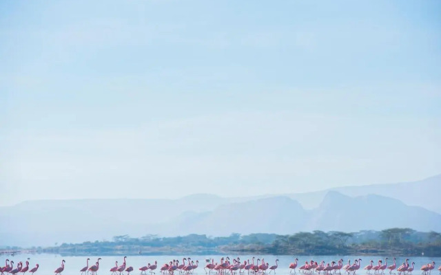 Mbweha Camp Lake Nakuru