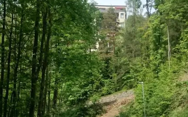 Semmering Studio-Apartment