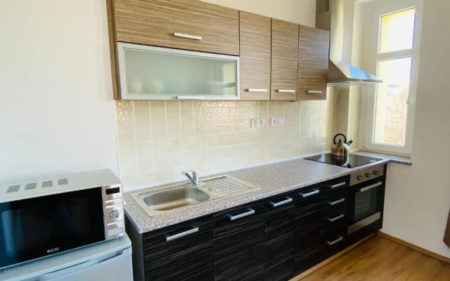 Apartmán Na Křížku 2+kk, Skiareál Klínovec 10minut