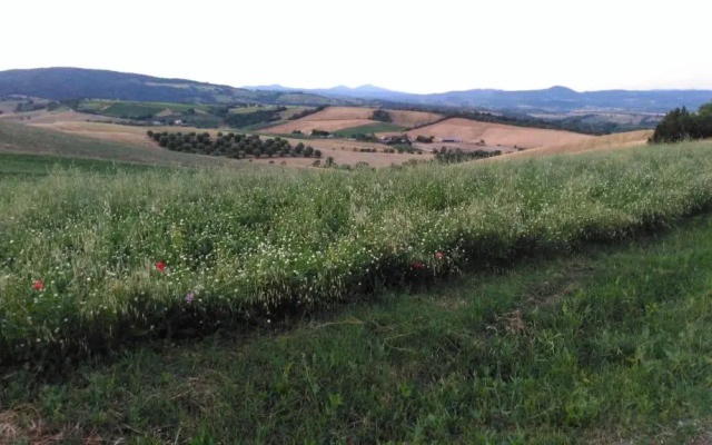 Agriturismo Uliveto Gretacci