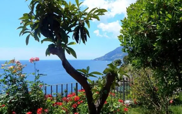 Amalfi View Cottage