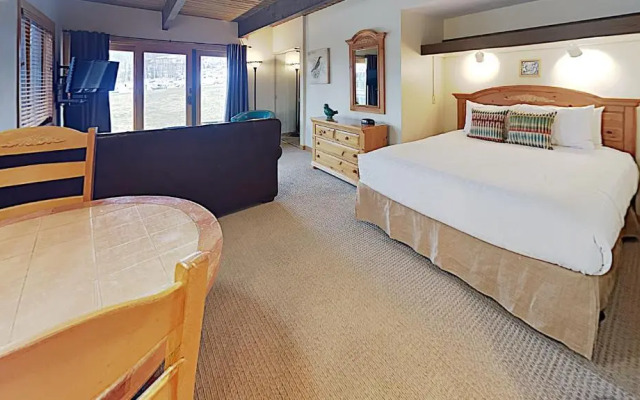 Timberline Condominium Studio Standard Unit 118