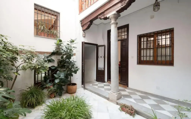 Charming, spacious Albayzin apartment