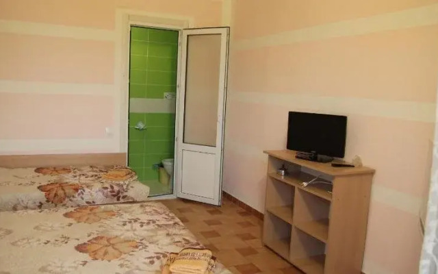 Hotel Novyi