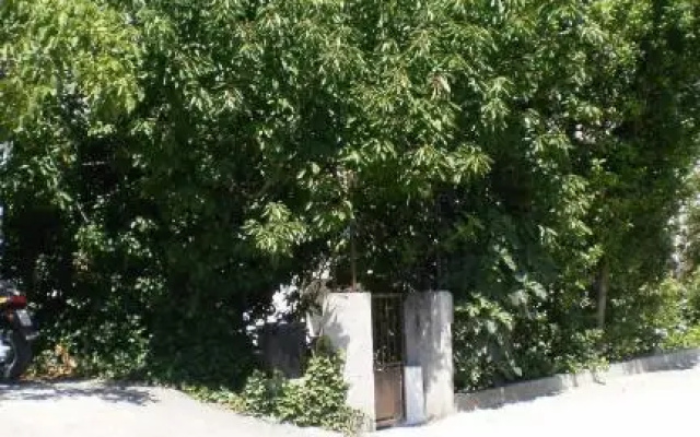 Apartments Prižmić