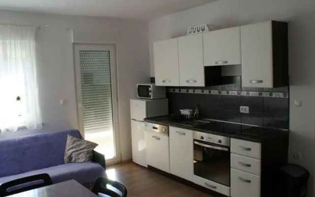 Apartments Rudy