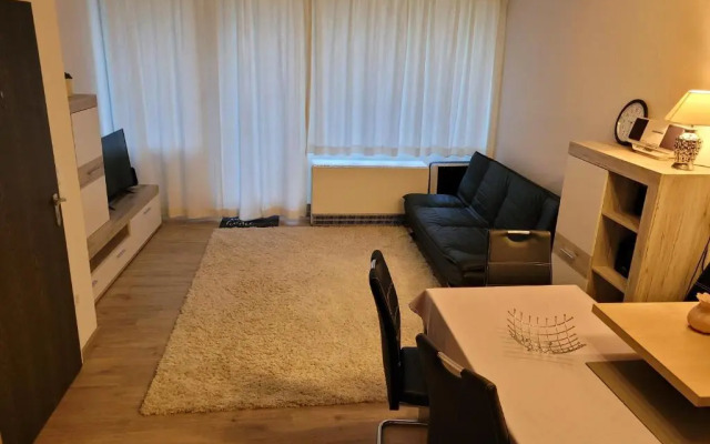 Ryan Apartament mit Netflix