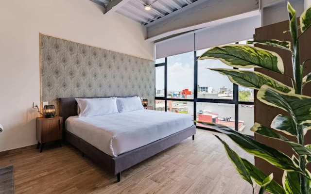 Roma Norte Apartments by VH