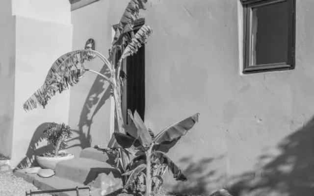 Banana House