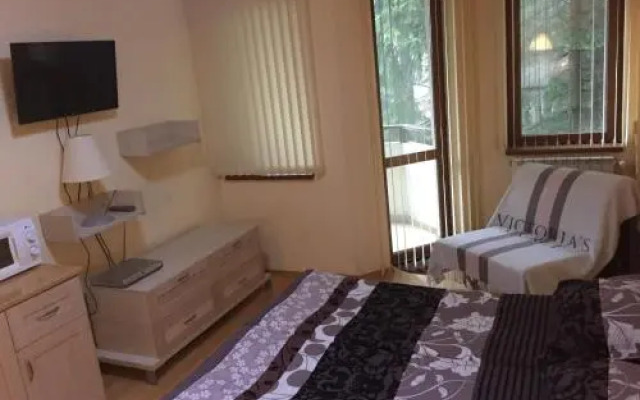 Villa Park Luxury Studio