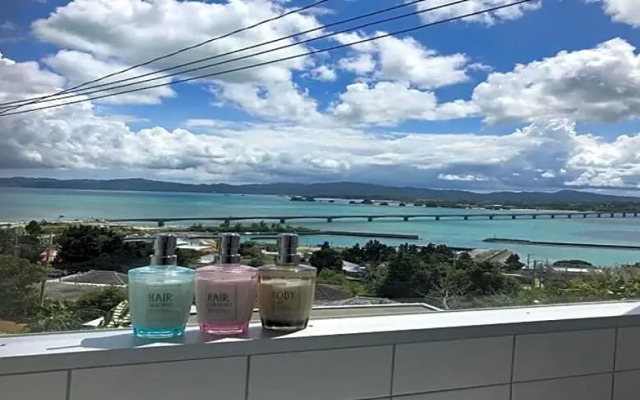 220 Kouri Nakijin-son - Hotel / Vacation STAY 8716