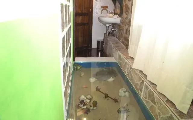 Posada Trisileja