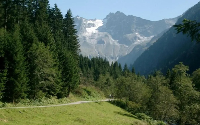 Chalet Helene