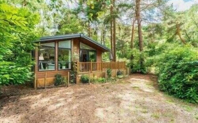 Guelder Rose Lodge - Kelling Heath Holiday Park - 22249