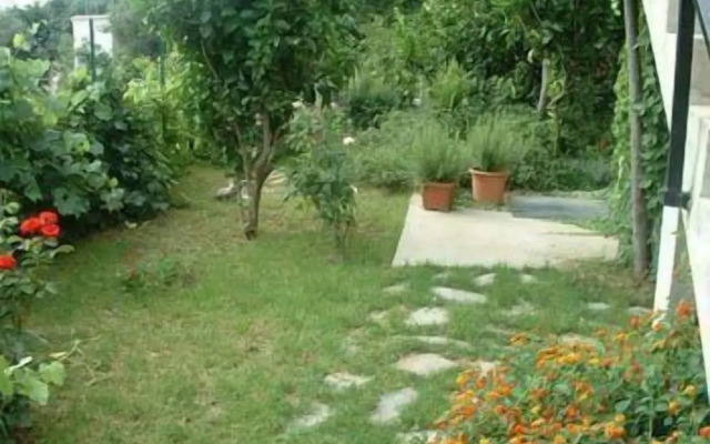 Giardino dei Limoni