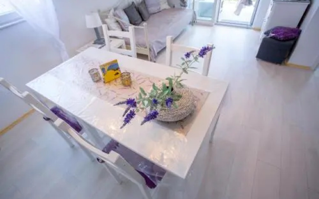 Apartment Švob Lavanda