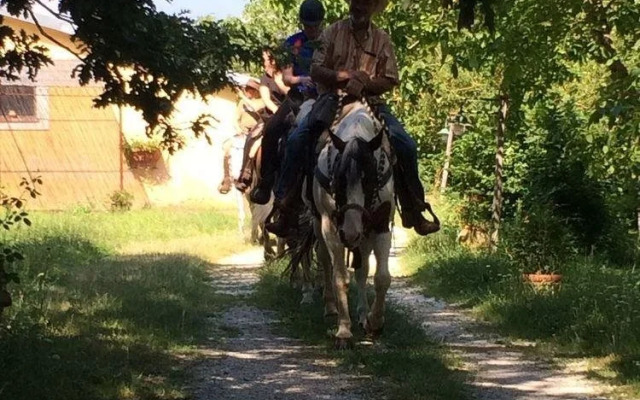 Agriturismo Il Tratturo