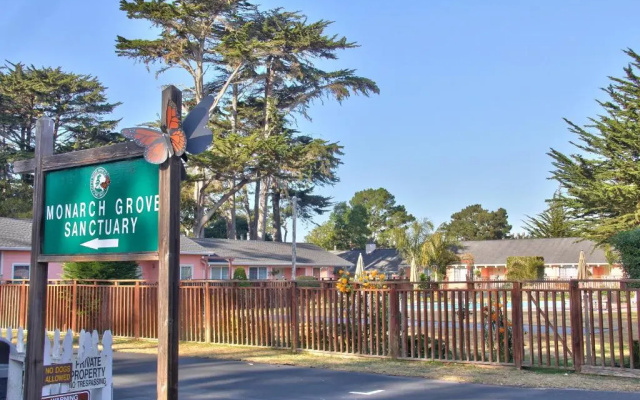 Butterfly Grove Inn