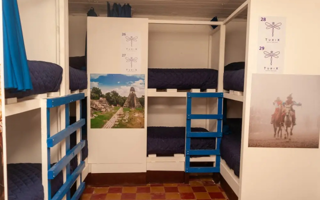 Camazotz Hostel