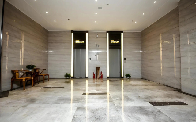 Borrman Hotel Xinxiang Muye Avenue