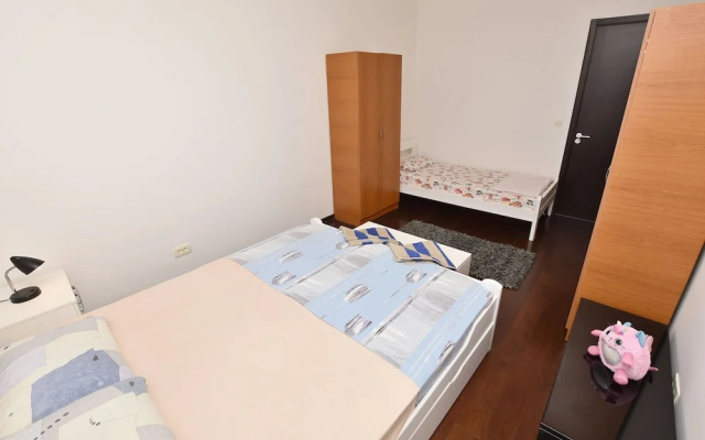 Apartment Branko