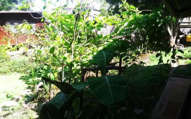 Yarina Guest house
