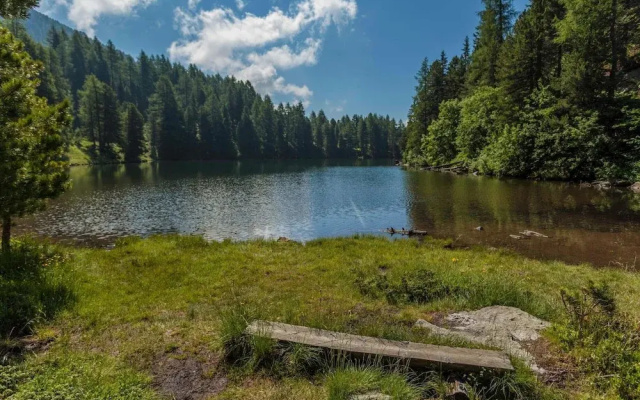 Apartment in Pine Forest Near Ski Slopes
