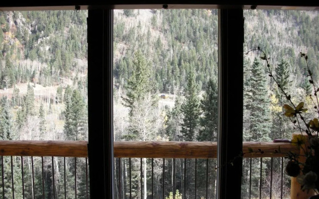Snow Bear Inn