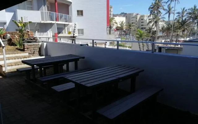 Seagull 503