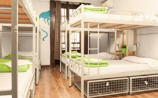 Cat's Hostel