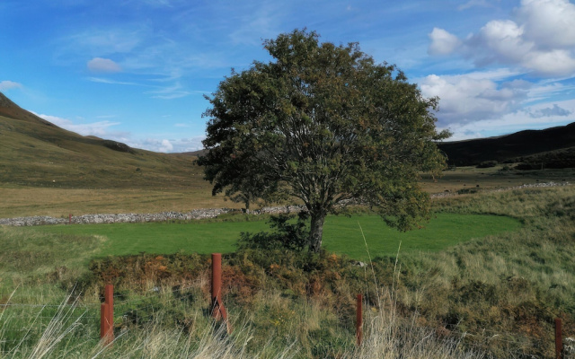 The Pod at Greenbank