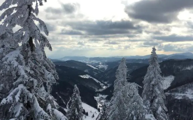 Schwarzwaldglück