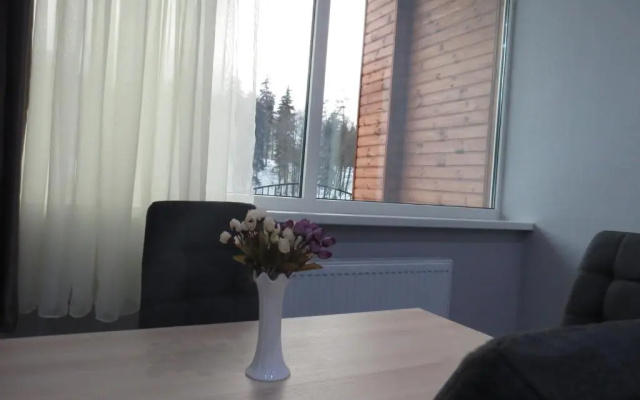 Chalet Kokhta