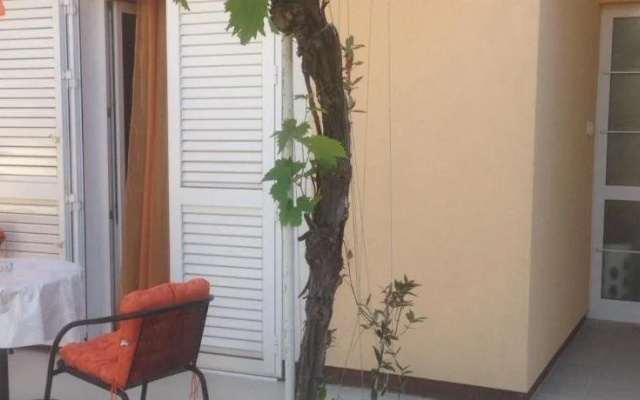 Apartments Pedisic