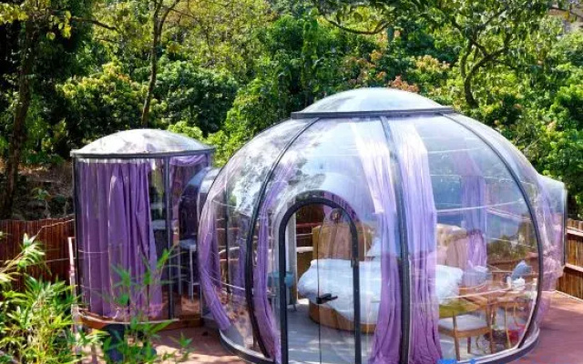 Guangzhou Conghua Qingfeng Xiaozhu Starry Sky Homestay
