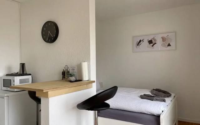 Wonderful Apartments in the centre of OS
