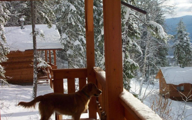 Alexa Chalets - Timber Inn & Restaurant