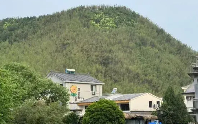 homestay  hotels