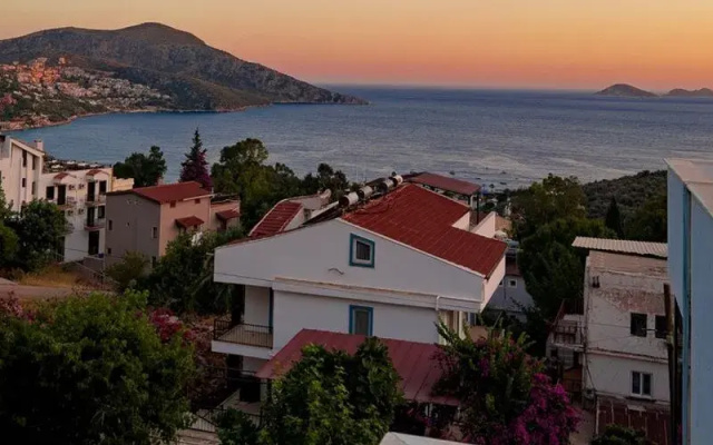 Seahorse Kalkan Daire