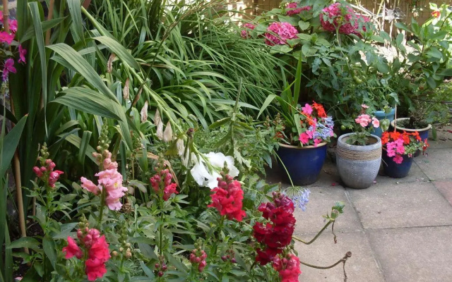 Cambridge House Guest House