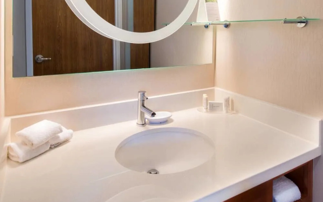 Springhill Suites Pittsburgh Southside Works