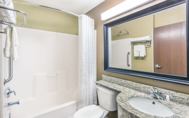 Microtel Inn & Suites by Wyndham Kalamazoo