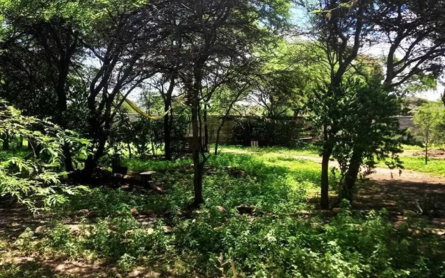 Wasi Center