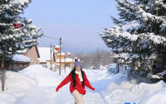 Snow Village Inn