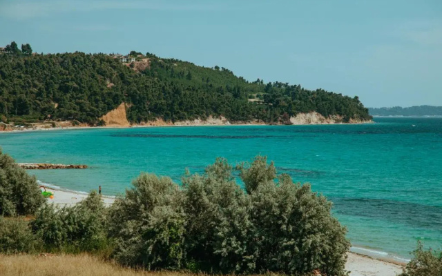 Forest house Near the sea