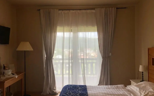 Bucovina Lodge Pension