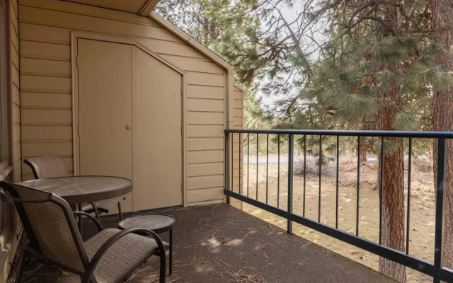 Ski House 251