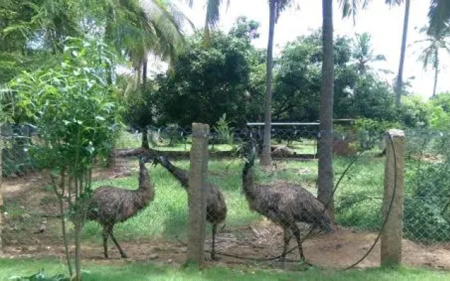 Mango Village Farm House