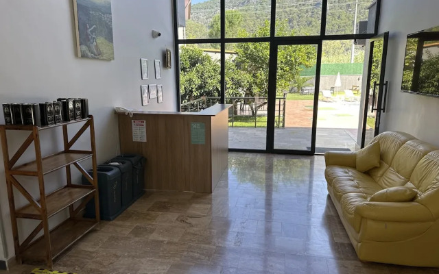 The Halcyon